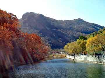 澳门天天免费精准大全，上海割包皮医院